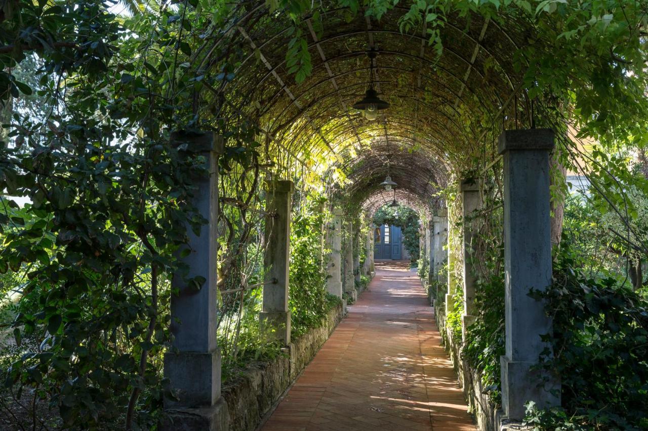 Palazzo Margherita Bernalda Dış mekan fotoğraf
